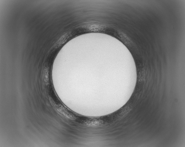 X0000080140646200701051514