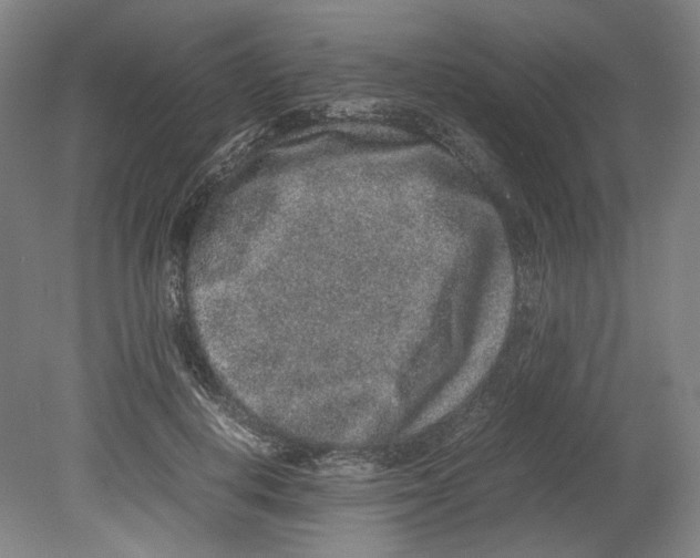X0000080140648200701051514