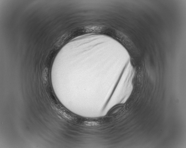 X0000080140649200701051514