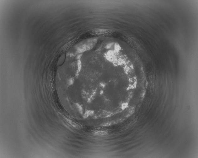 X0000080140653200701051514