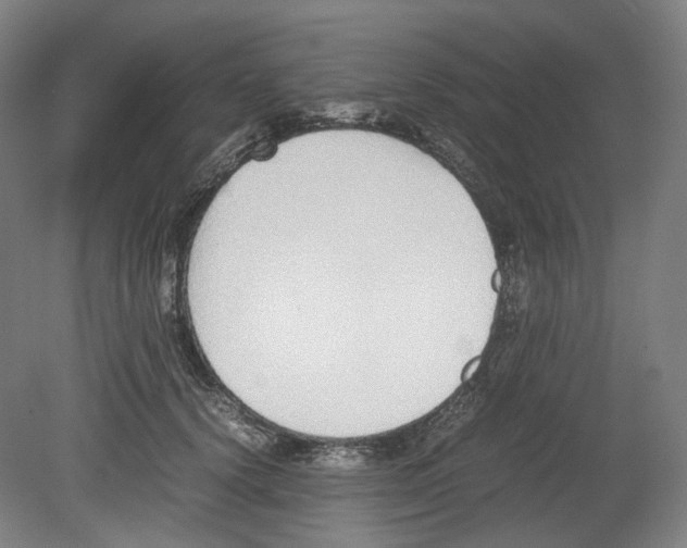 X0000080140656200701051515