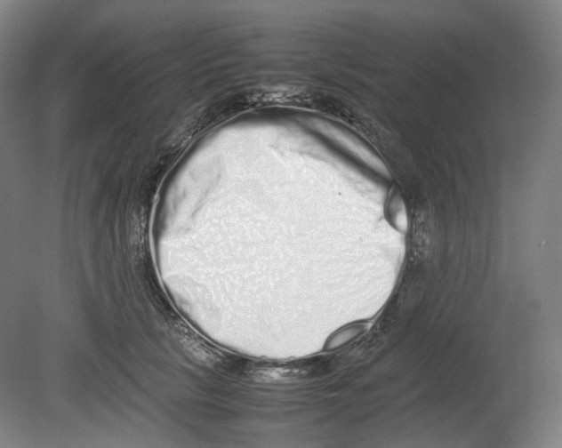 X0000080140657200701051515