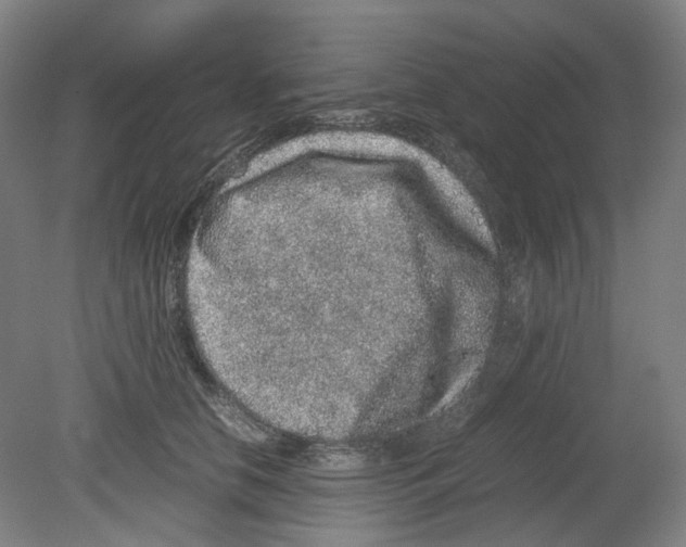X0000080140658200701051515