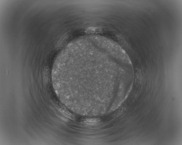 X0000080140659200701051515