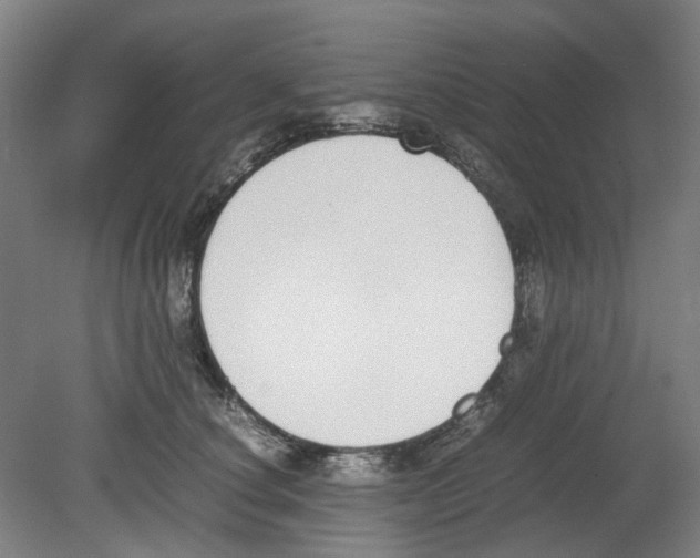X0000080140660200701051515