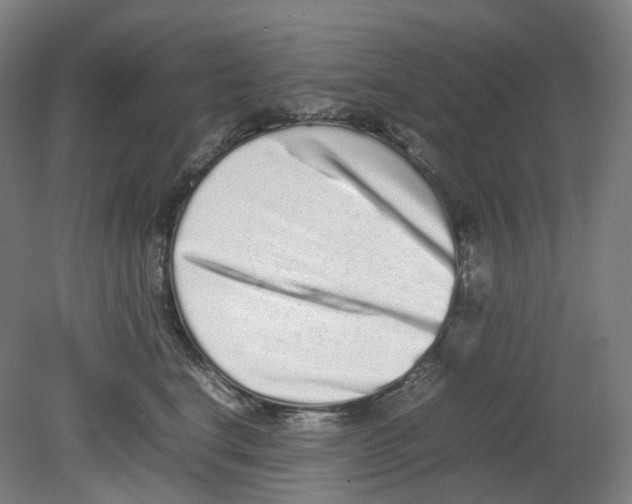 X0000080140664200701051515