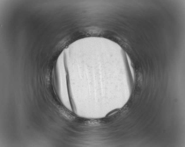 X0000080140668200701051515