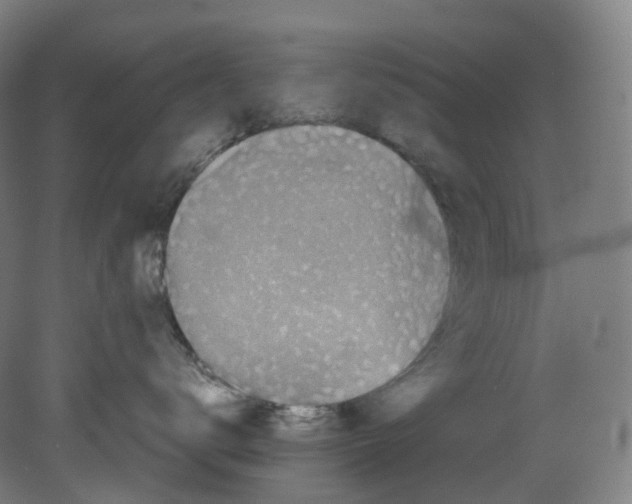 X0000080140672200701051515