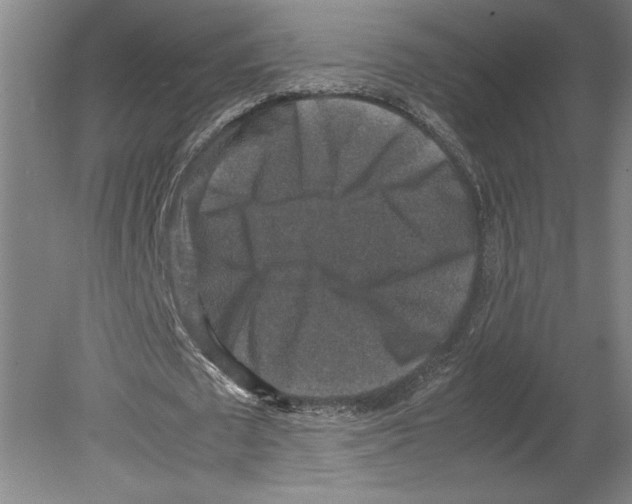 X0000080140673200701051514