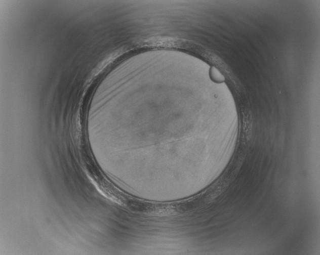 X0000080140674200701051514