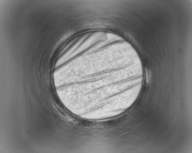 X0000080140675200701051514