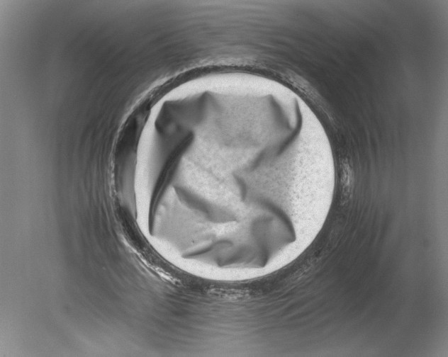 X0000080140676200701051514