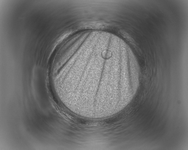 X0000080140679200701051514