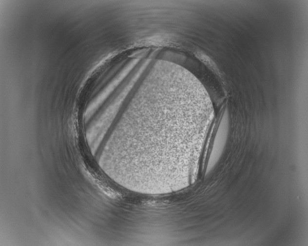X0000080140680200701051514
