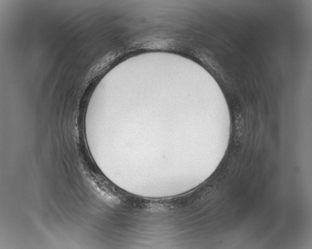 X0000080140682200701051514
