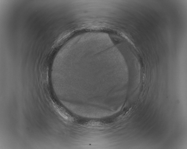 X0000080140685200701051514