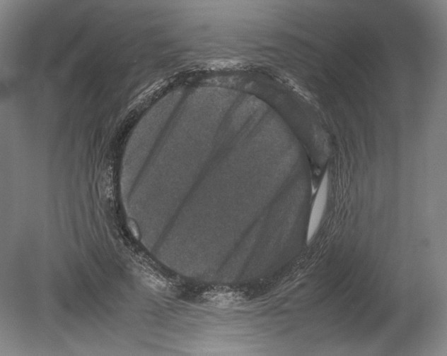 X0000080140689200701051514