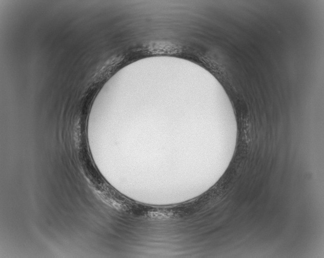 X0000080140690200701051514