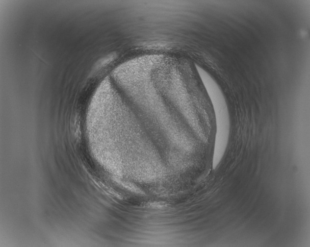X0000080140692200701051514