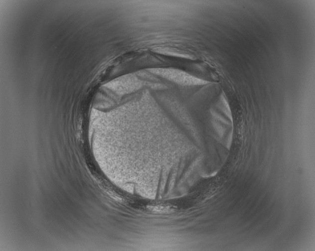 X0000080140693200701051514