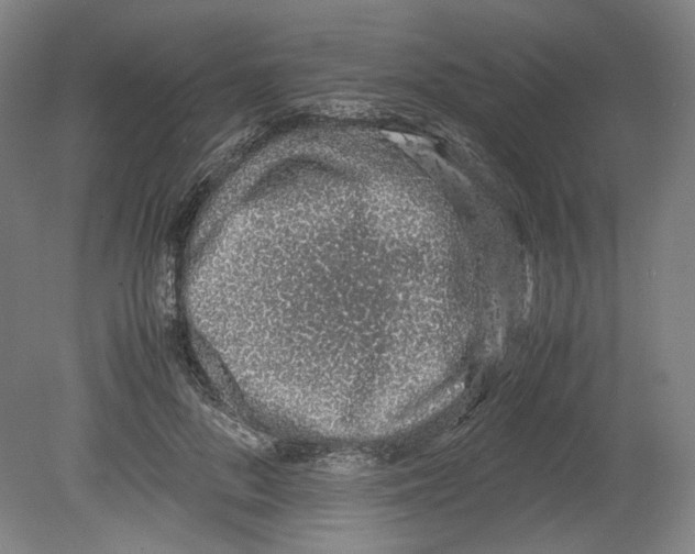 X0000080140696200701051514
