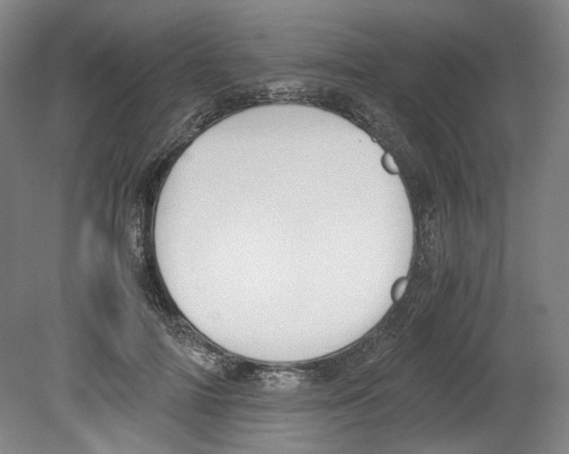 X0000080140698200701051514