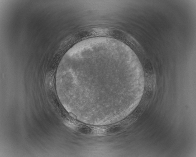 X0000080140701200701051514