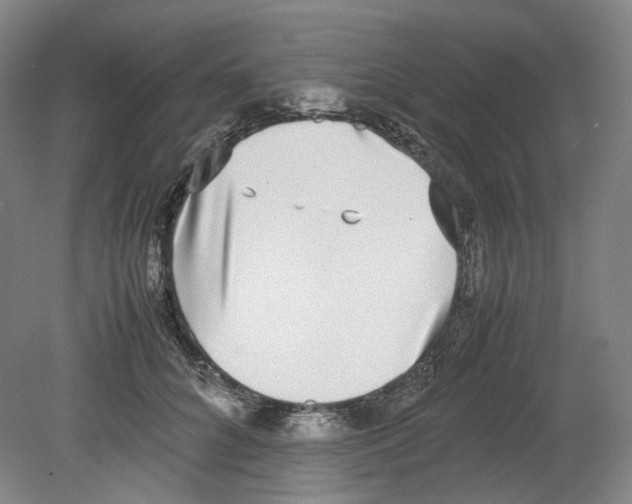 X0000080140704200701051513