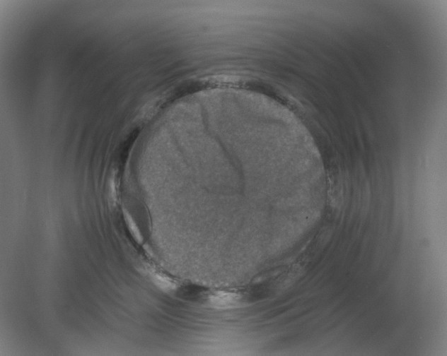 X0000080140718200701051513
