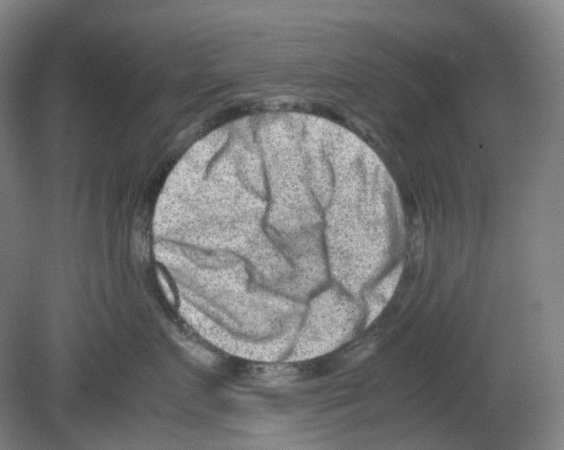 X0000080140719200701051513