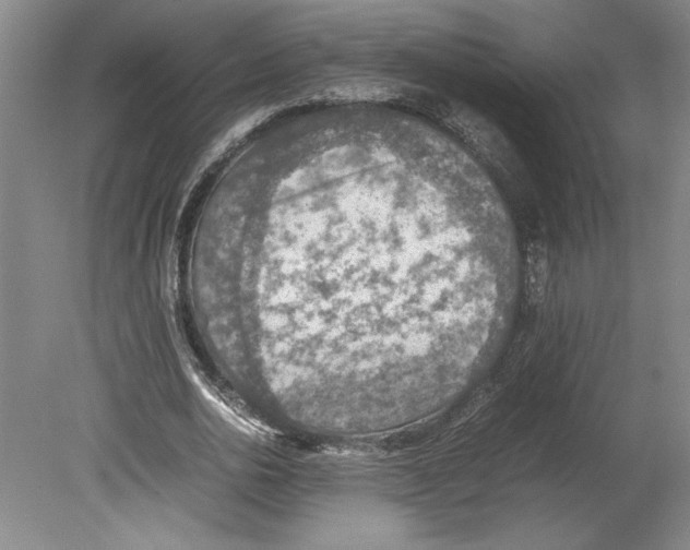 X0000080140726200701051512