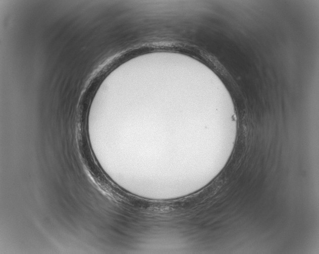 X0000080140728200701051513