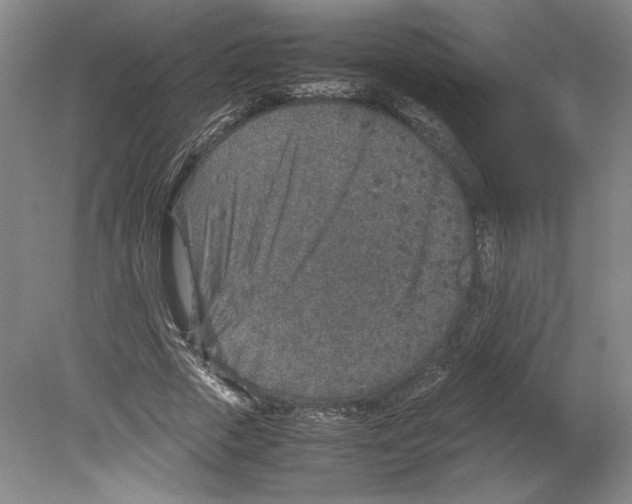 X0000080140729200701051513