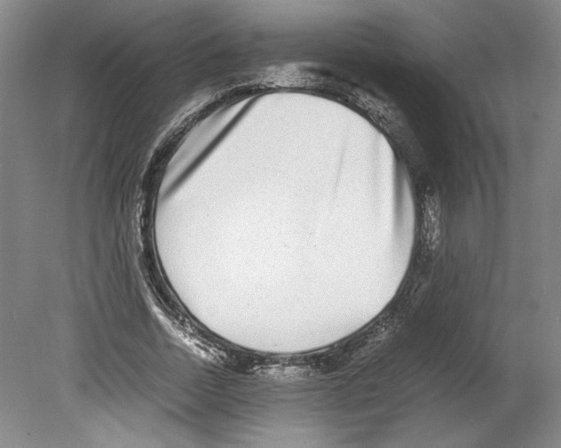 X0000080140730200701051513