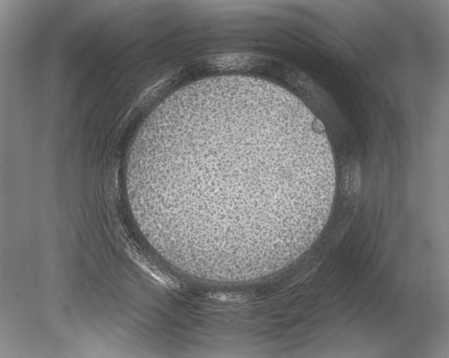 X0000080140733200701051513