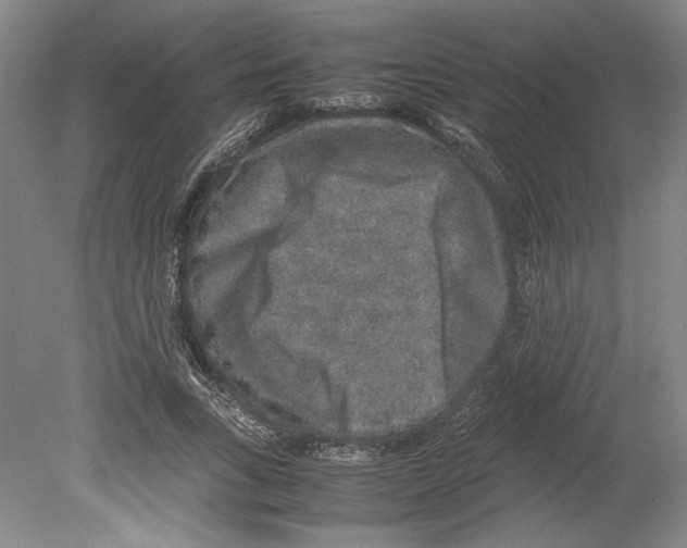 X0000080140735200701051513