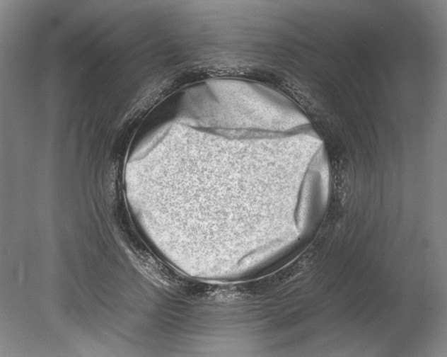 X0000080140742200701051513