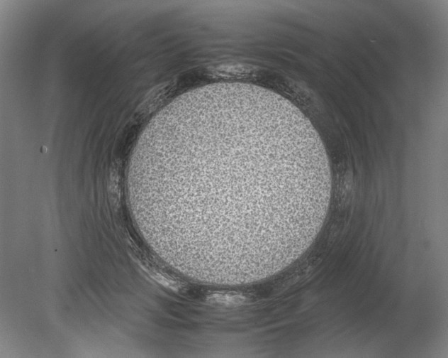 X0000080140749200701051513