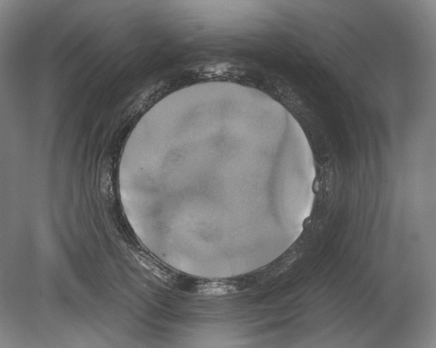 X0000080140754200701051513