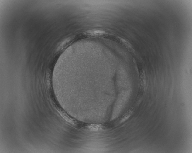 X0000080140762200701051513