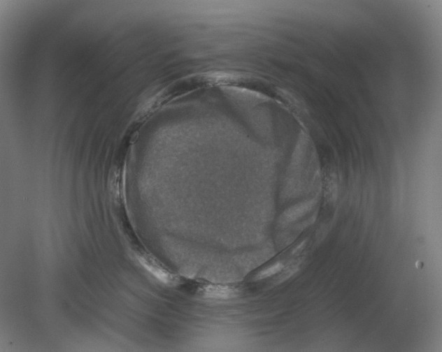 X0000080140766200701051513