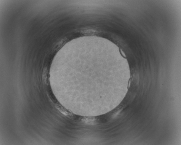 X0000080140767200701051513