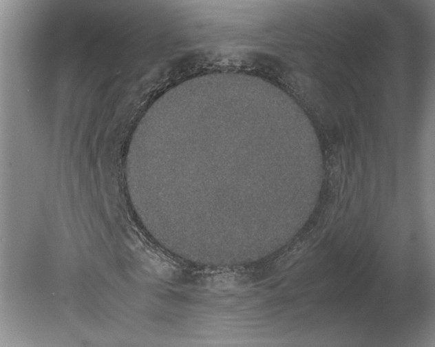 X0000080140769200701051512