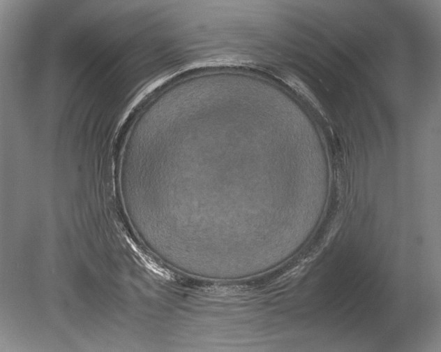X0000080140781200701051512