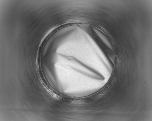 X0000080140788200701051512