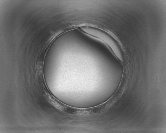 X0000080140793200701051512