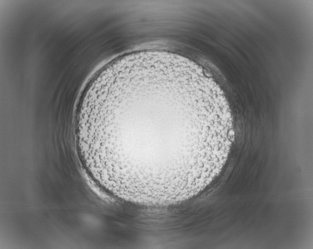 X0000080140800200701051512