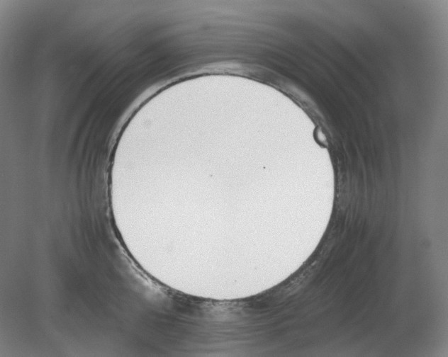 X0000080140808200701051512