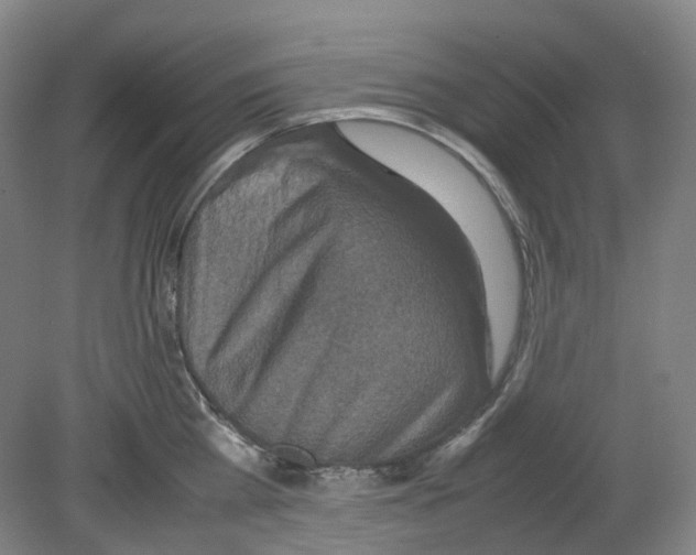 X0000080140809200701051512