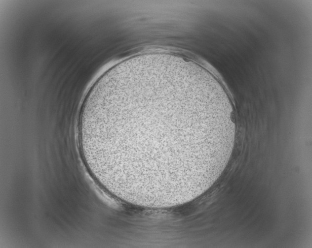 X0000080140811200701051512